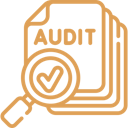 Best Audit Services In India | DSRV India