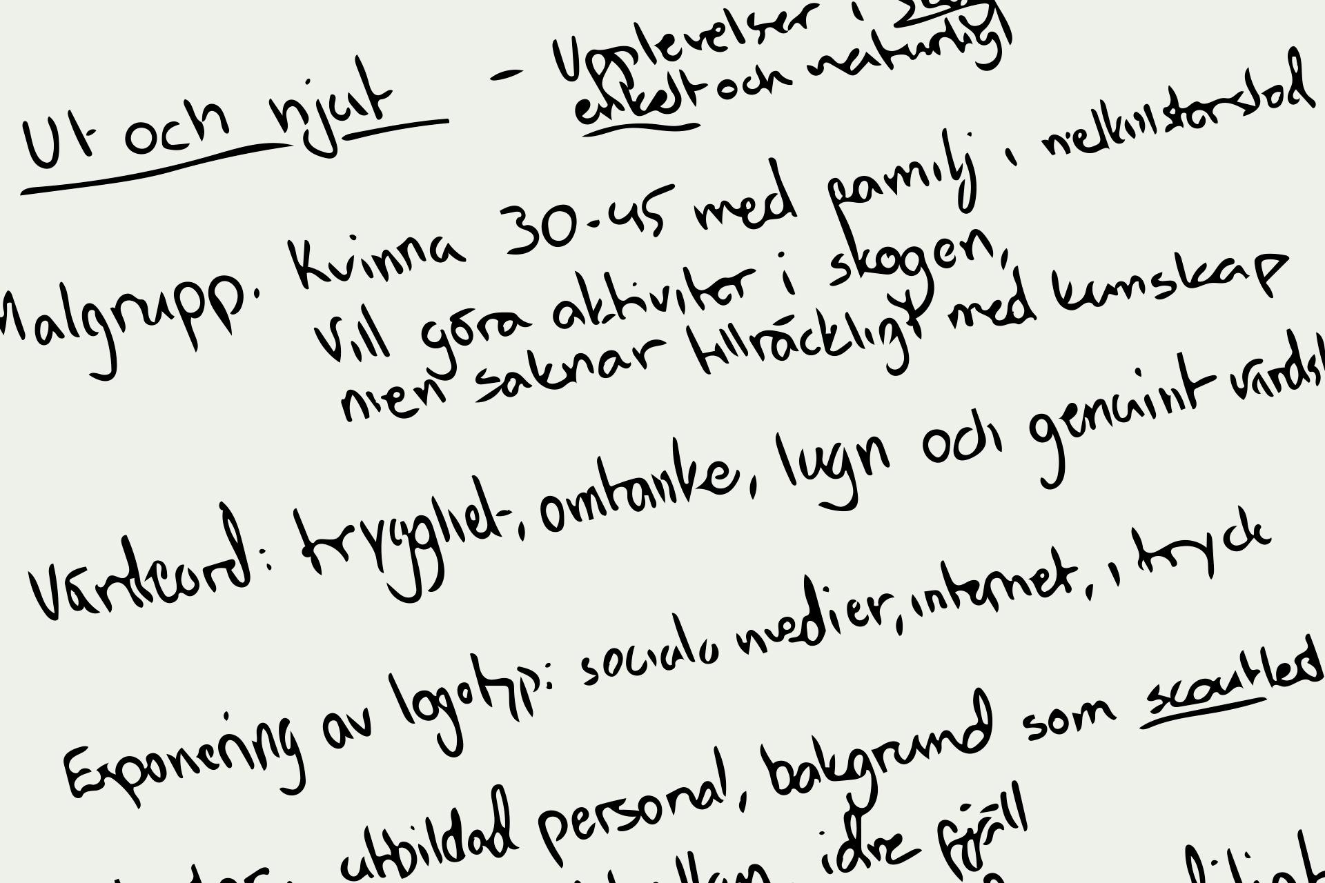 Initial research about the company