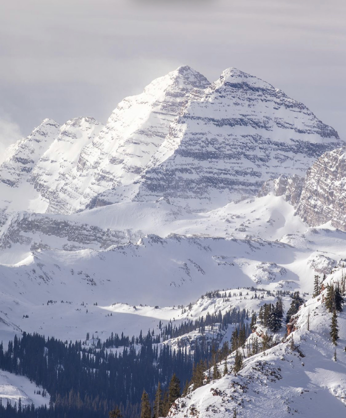 Houses - Under Construction