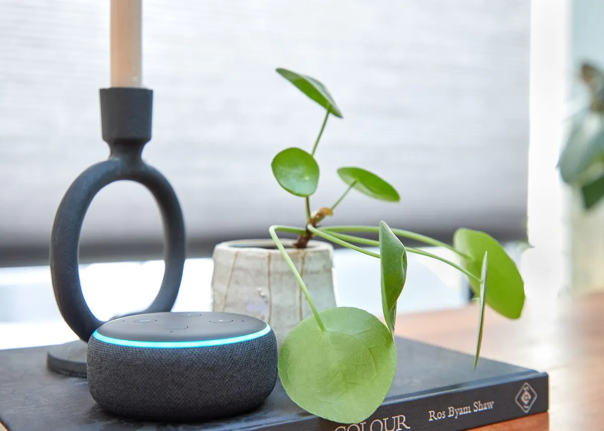 Smart speaker on a table beside a plant with grey Duette honeycomb blinds in the background.