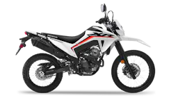 XR TORNADO