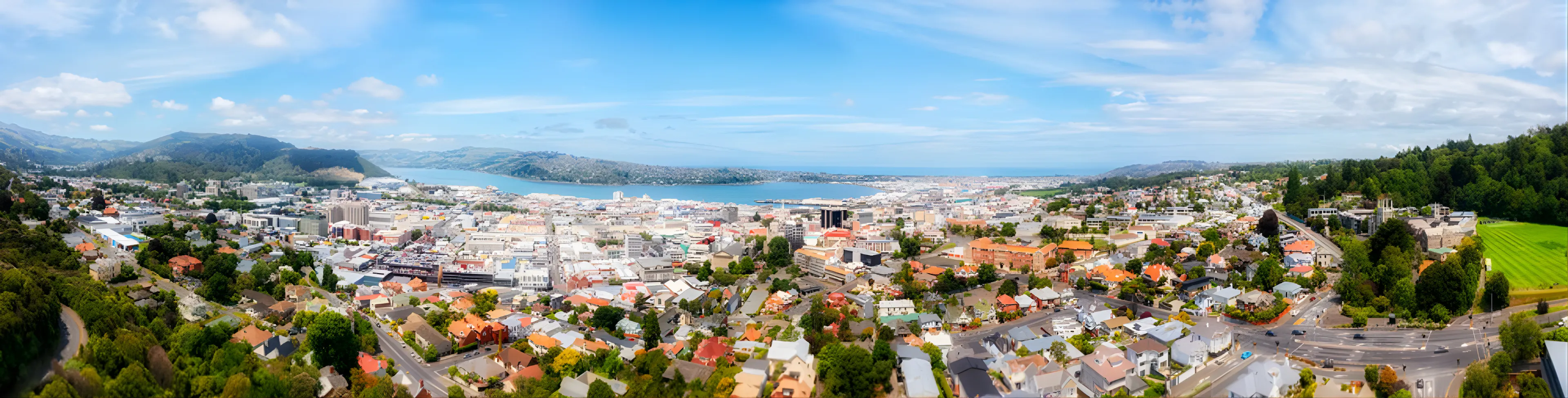 Dunedin city aerial view