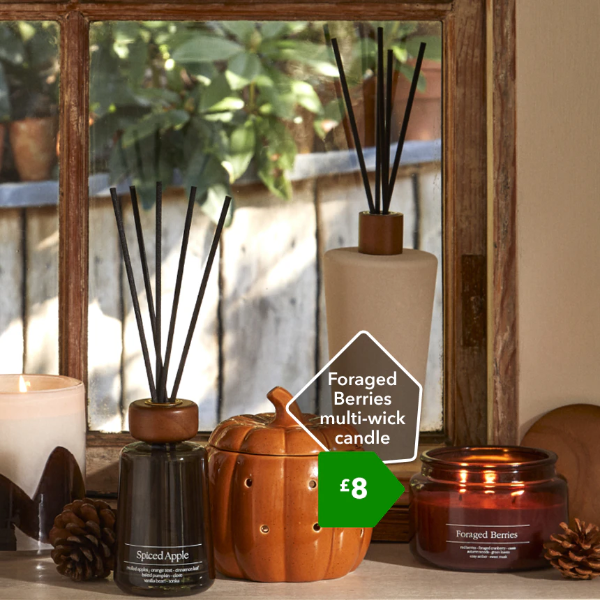 Foraged Berries multi-wick candle £8