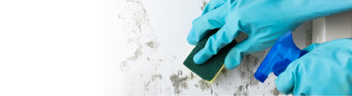 How to clean the wall after removing the wallpaper