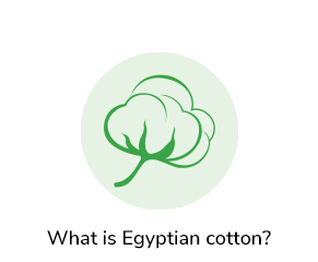 Extra-long staple (ELS) fibre that creates a soft, smooth handle with superior strength and durability when spun into a yarn. 