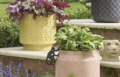 SHOP GARDEN & OUTDOOR