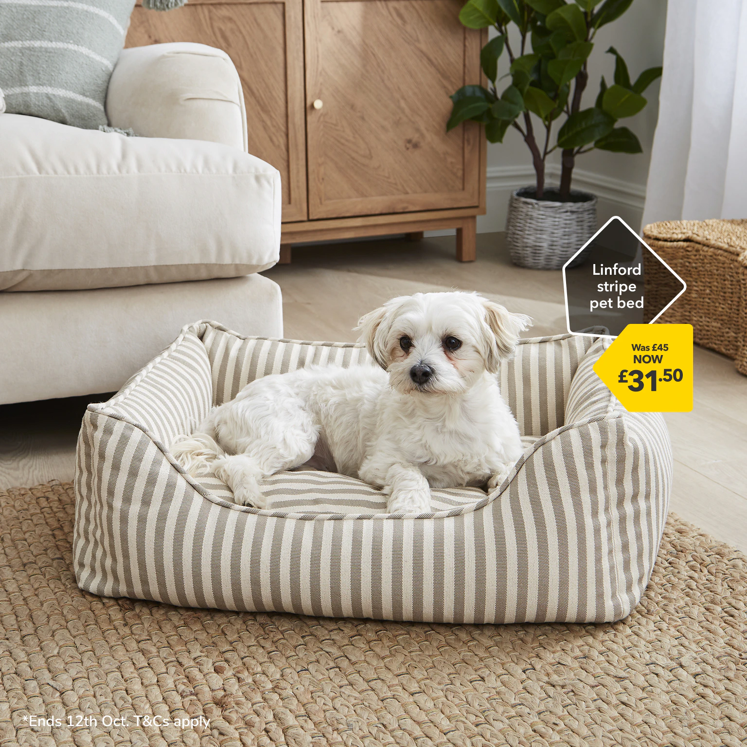 Linford stripe pet bed