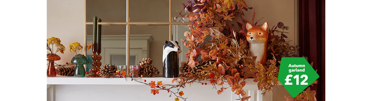 Flowers and Plants - Browse our Range today | Dunelm