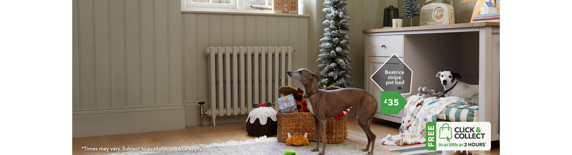 Gifts for fluffy friends