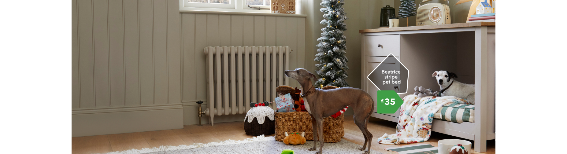 Gifts for fluffy friends