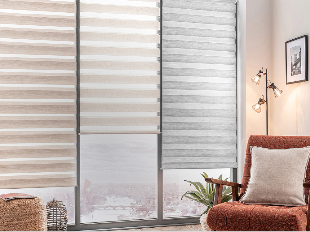 Day & Night blinds