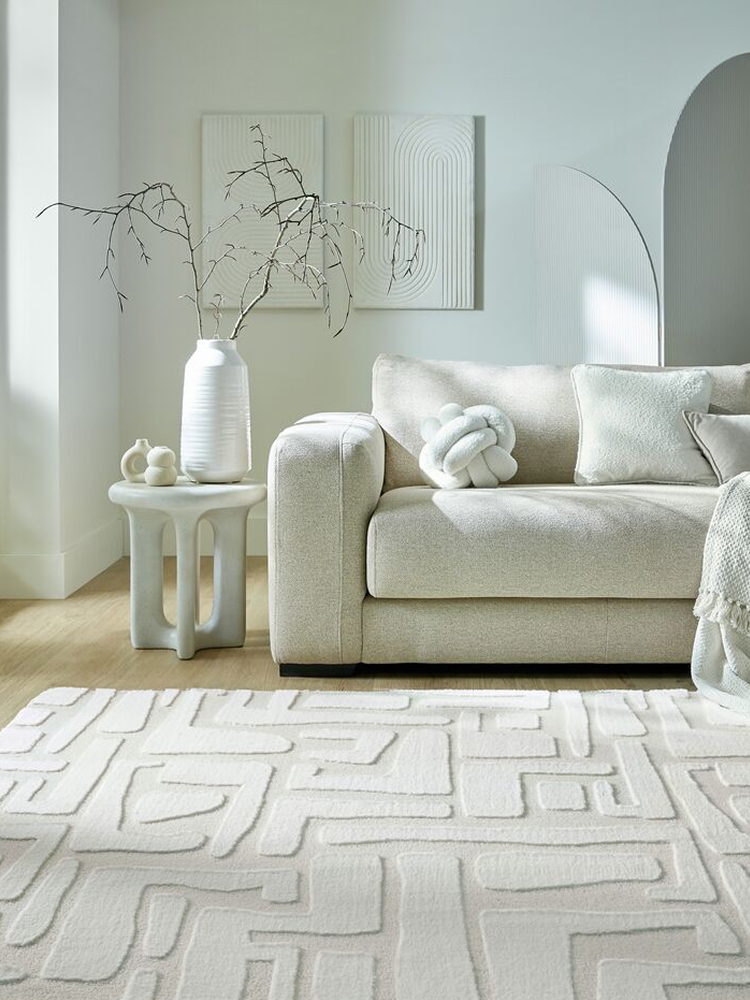 Living room rugs