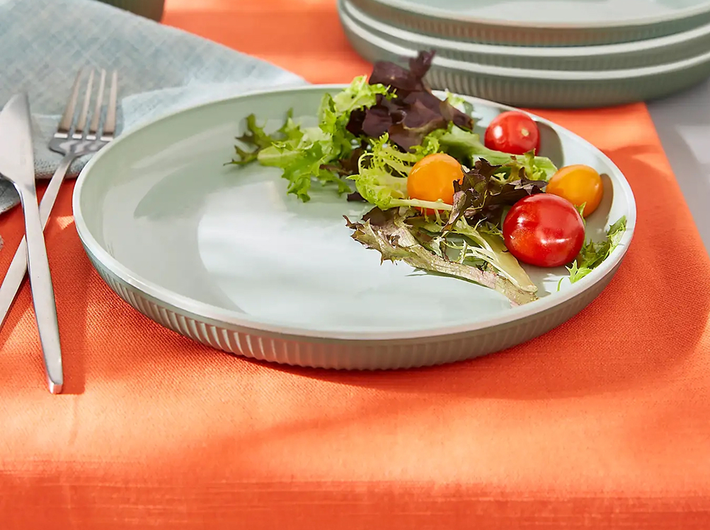 Set of 4 Green Picnic Plates