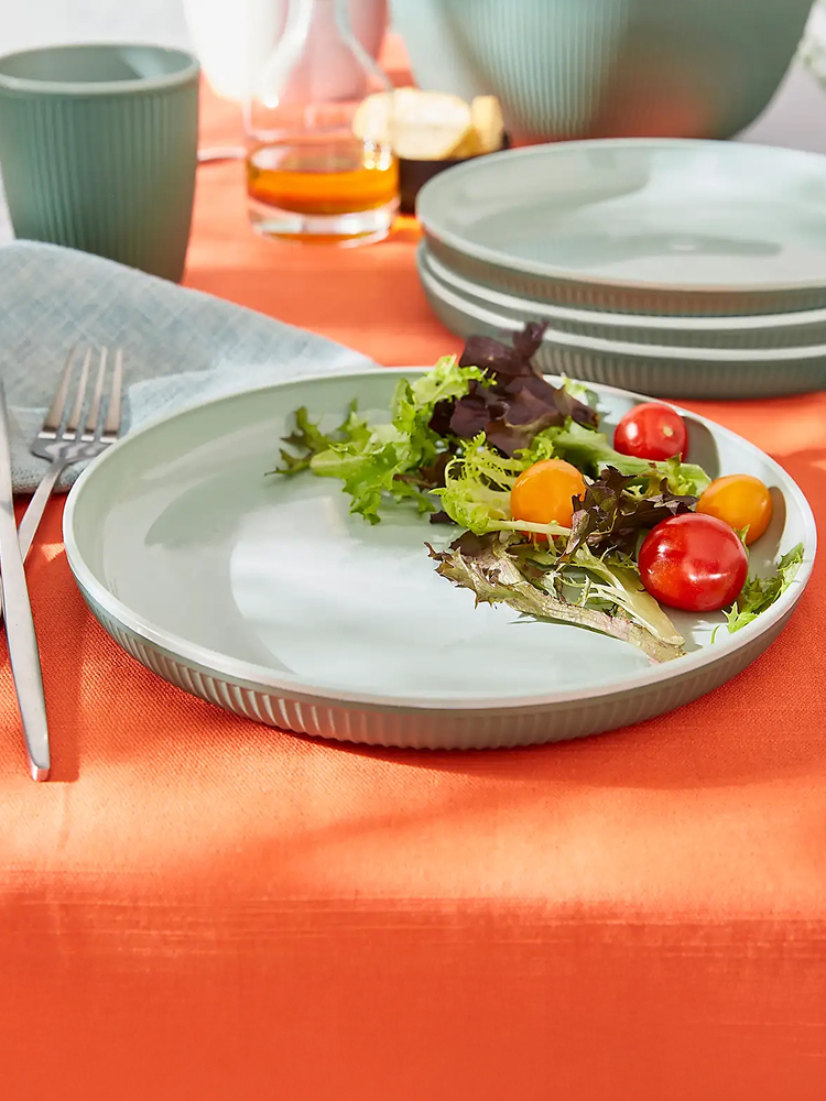 Set of 4 Green Picnic Plates