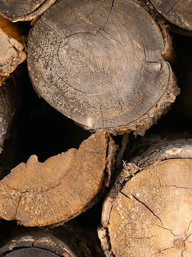 Timber