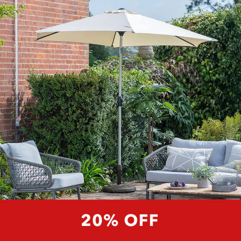 20% off