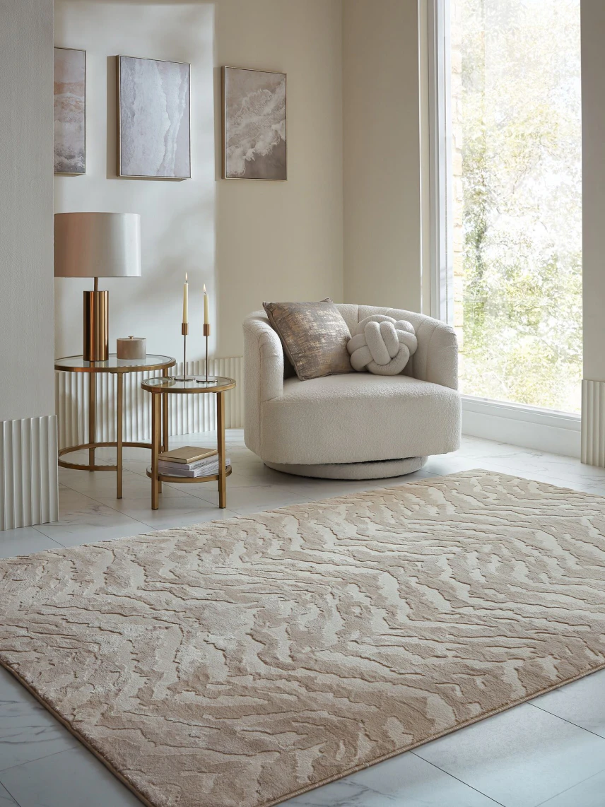 Living room rugs