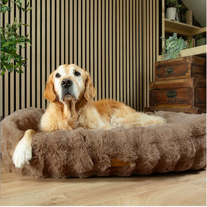 Scruffs dog bed