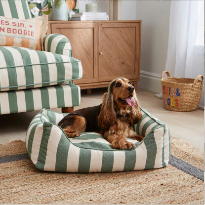 Striped dog bed