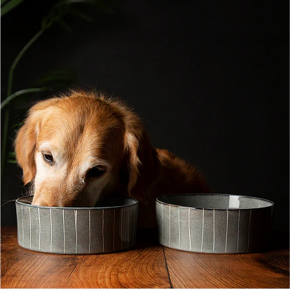 Dog feeding bowls