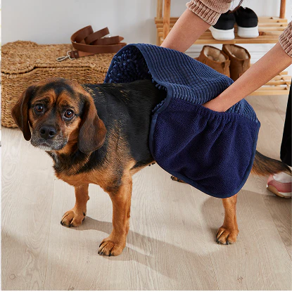 Noodle dog towel mitt