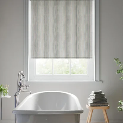 Bathroom blinds