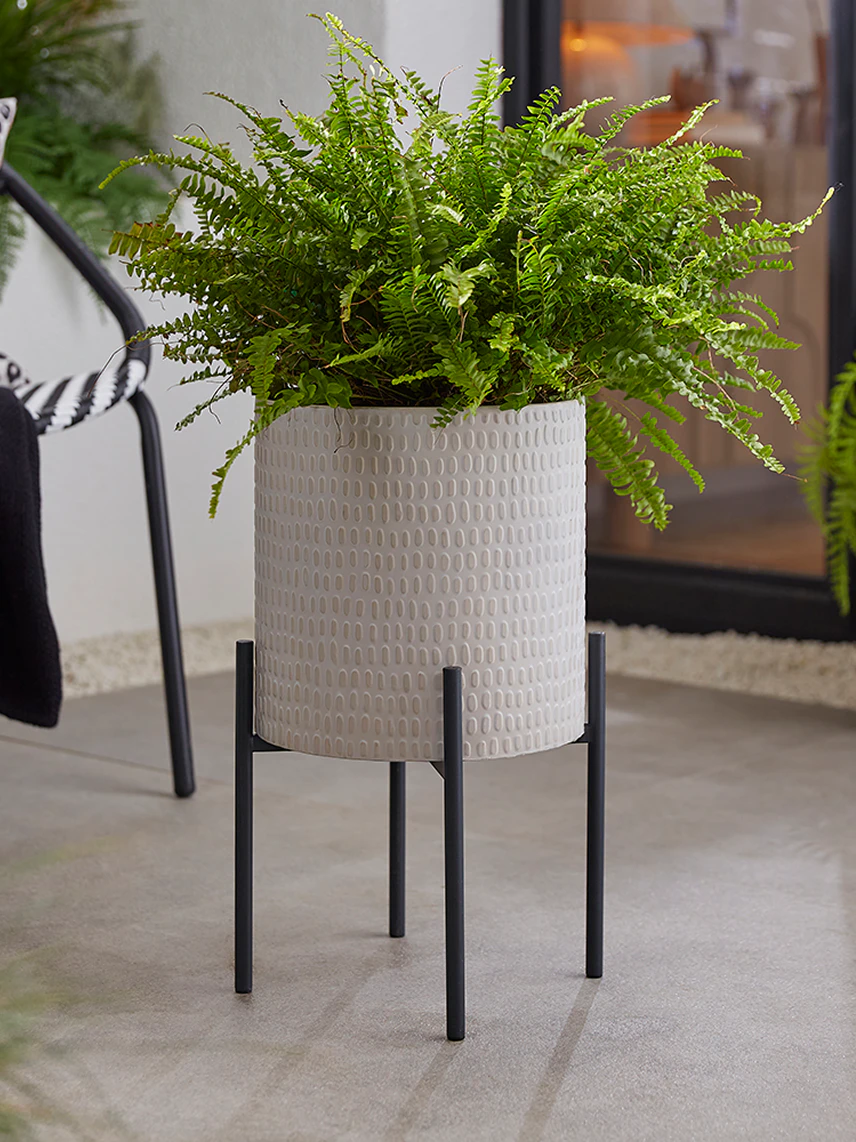 Plant pots & planters