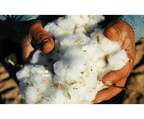 We’re committed to improving global cotton farming practices with Better Cotton 