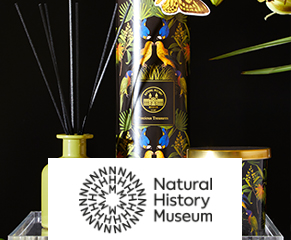 Bringing the best of nature indoors