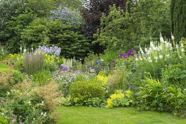 Beautiful perennial garden in the Peace Region