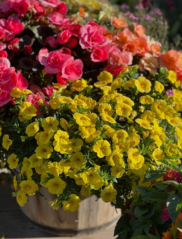 Custom planting service flower baskets