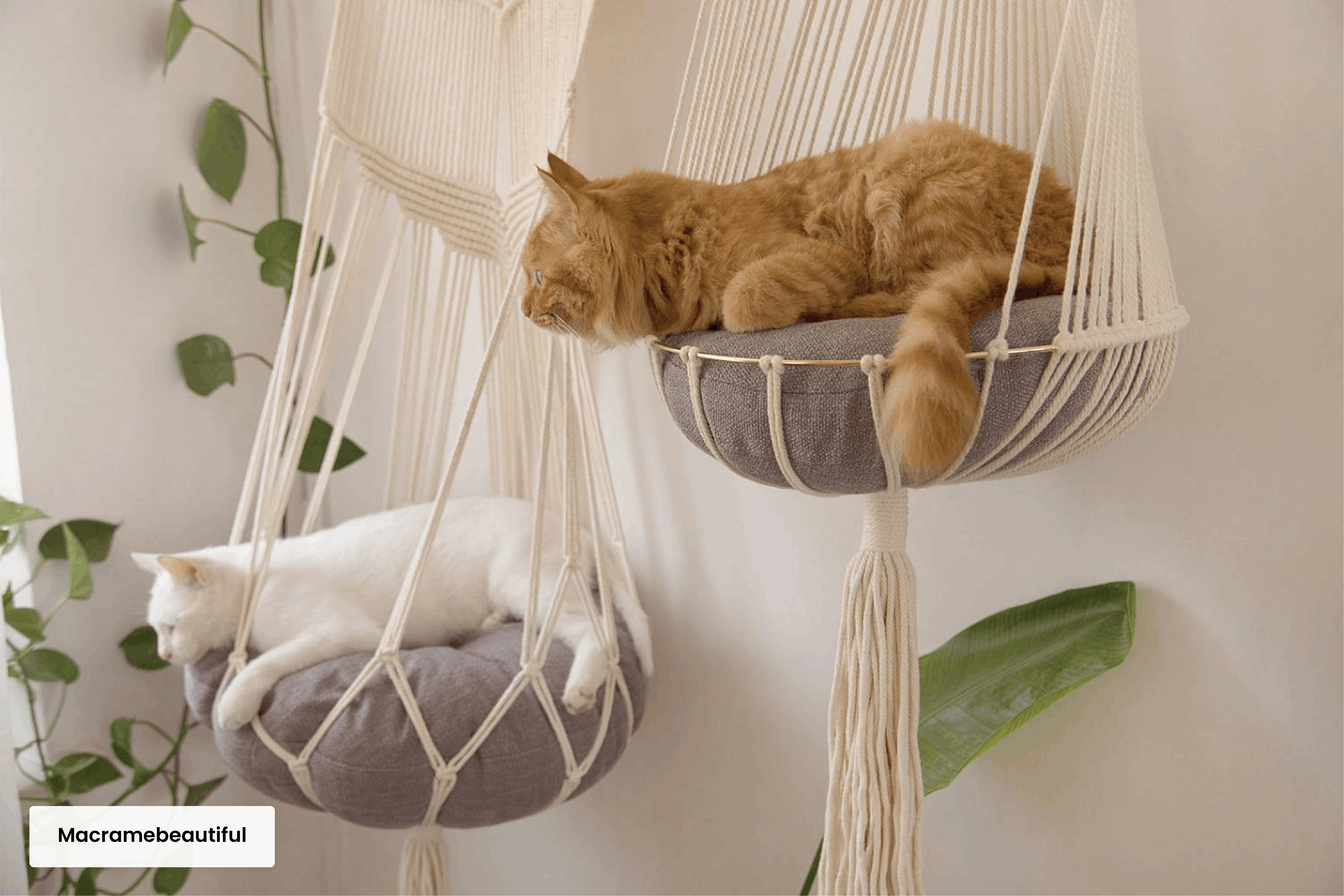  Two cats sitting in hanging cat beds.