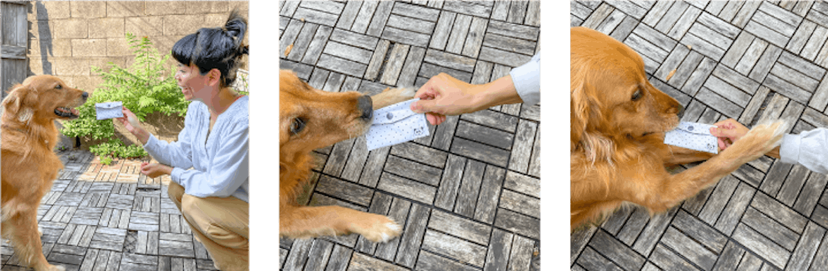  Frau mit einem Hund, die einen DIY-Kartenhalter / eine Brieftasche hält