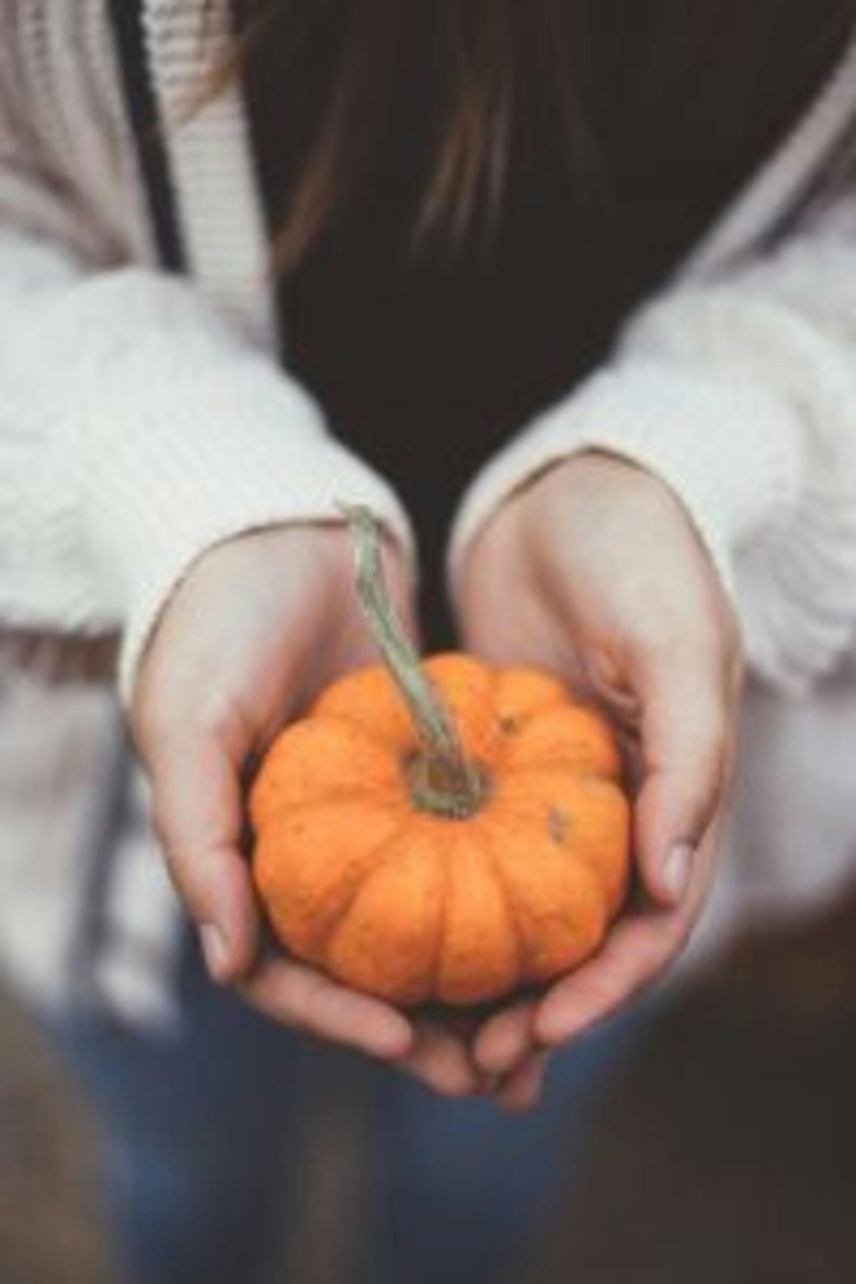  A pumpkin