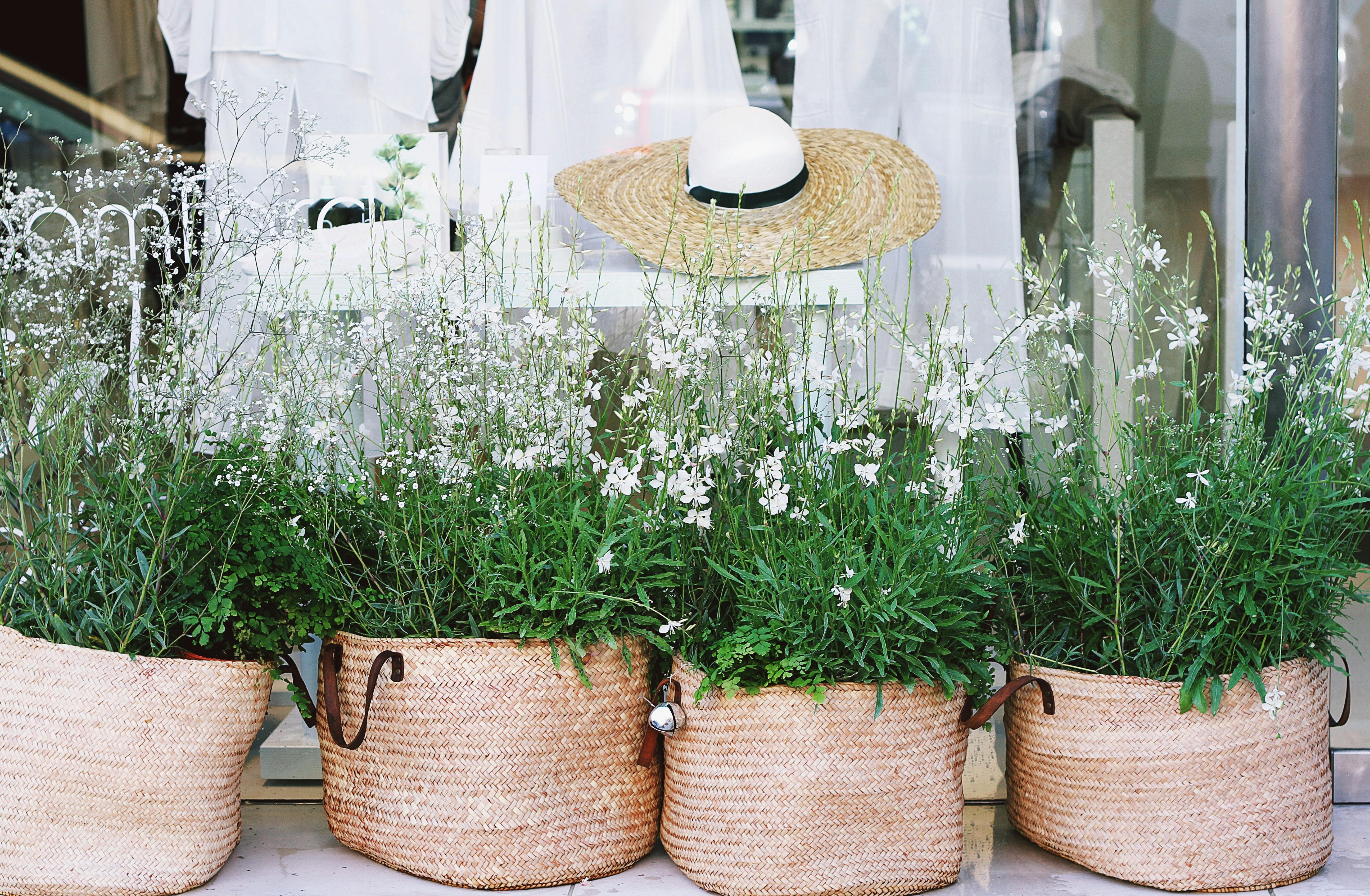 Unique Textile & Woven Planters
