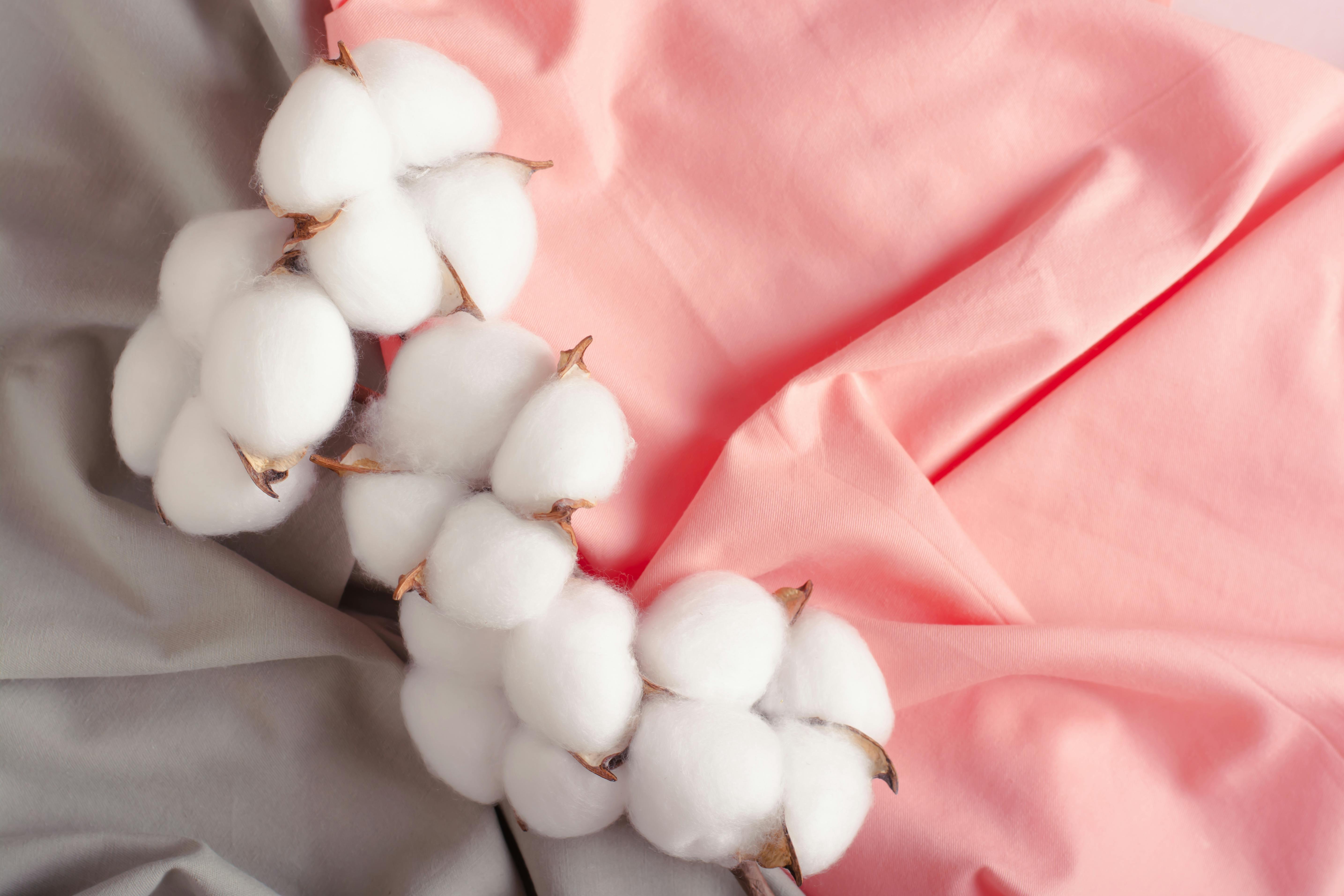 close up of gray and pink cotton fabrics with a stem of a cotton plant