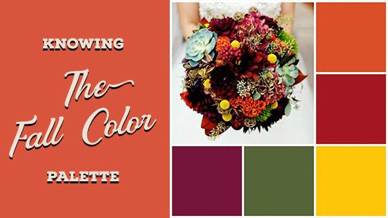 Knowing The Fall Color Palette
