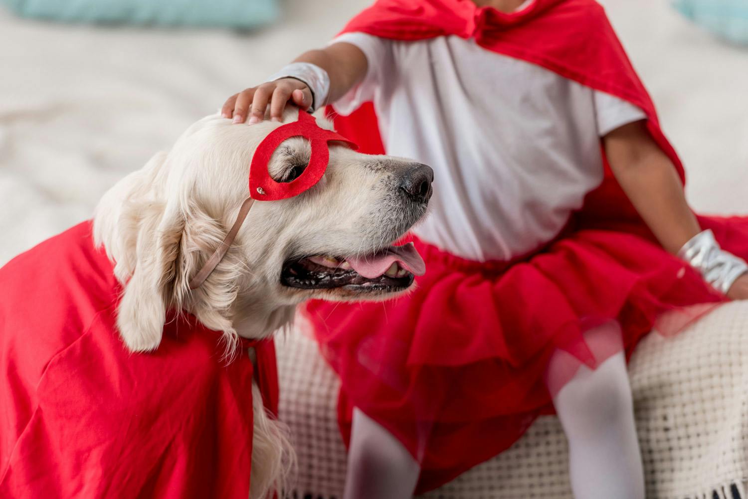 Cane e bambino con un costume rosso da supereroe