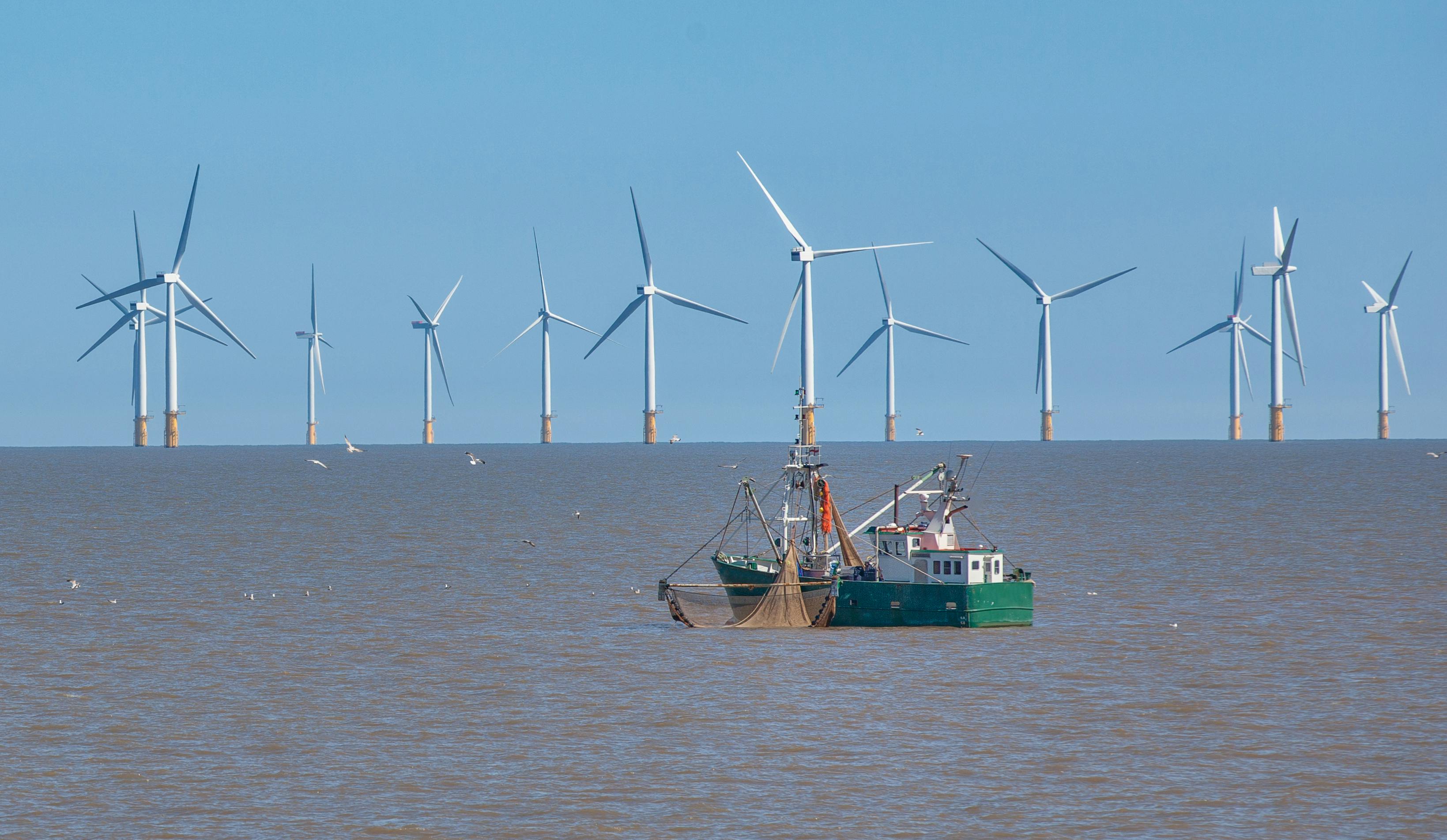 Offshore wind farm with fishing boat