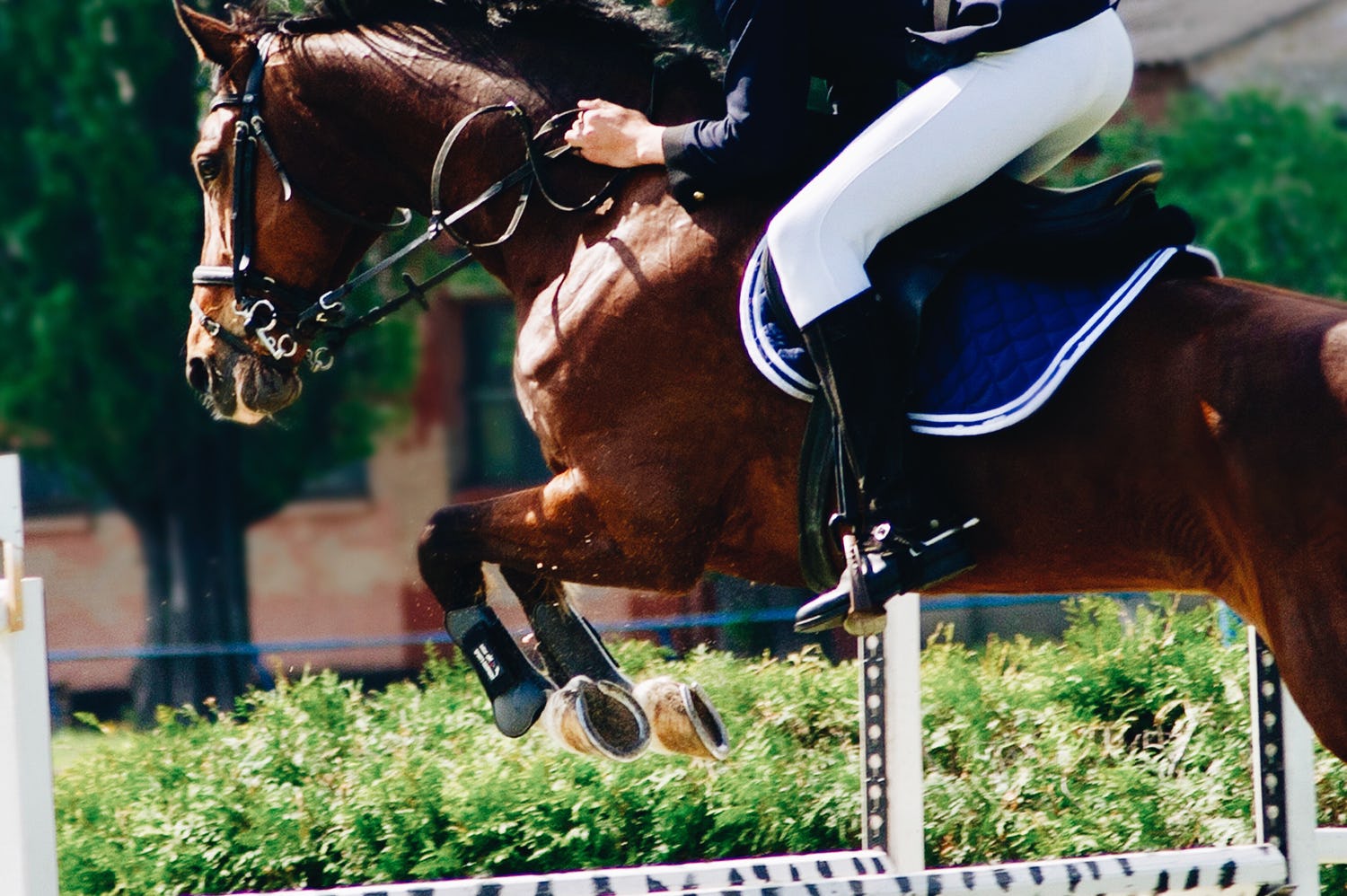 Resolve stands out from the crowd with a revolutionary marketing campaign at the Jumping de Sion show jumping event