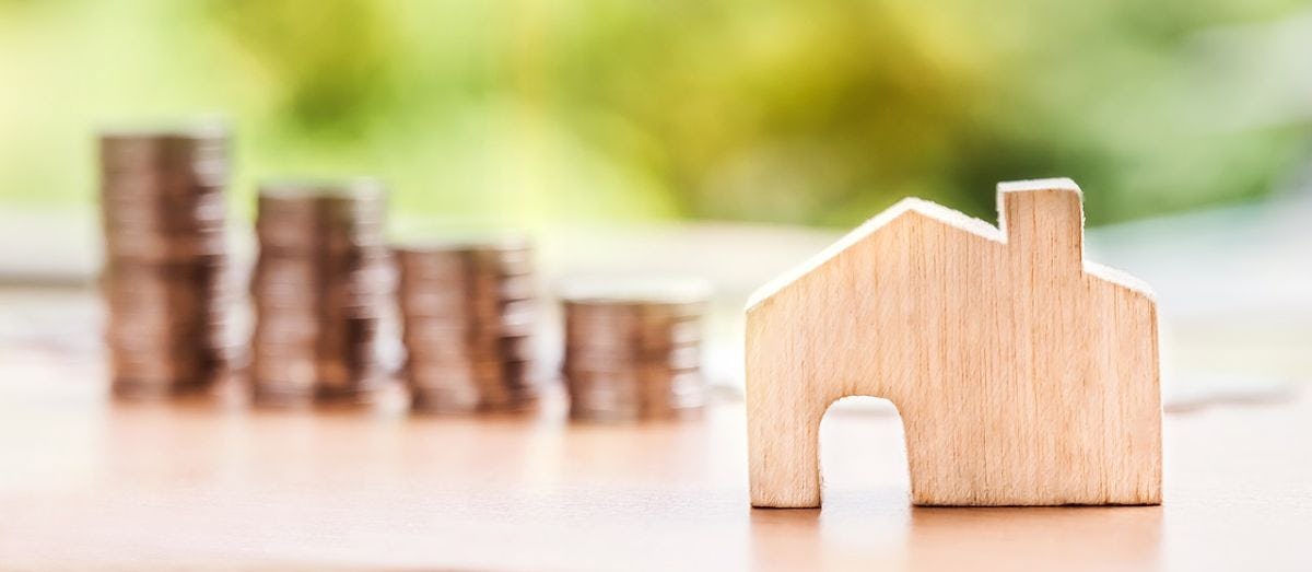 Startupticker article