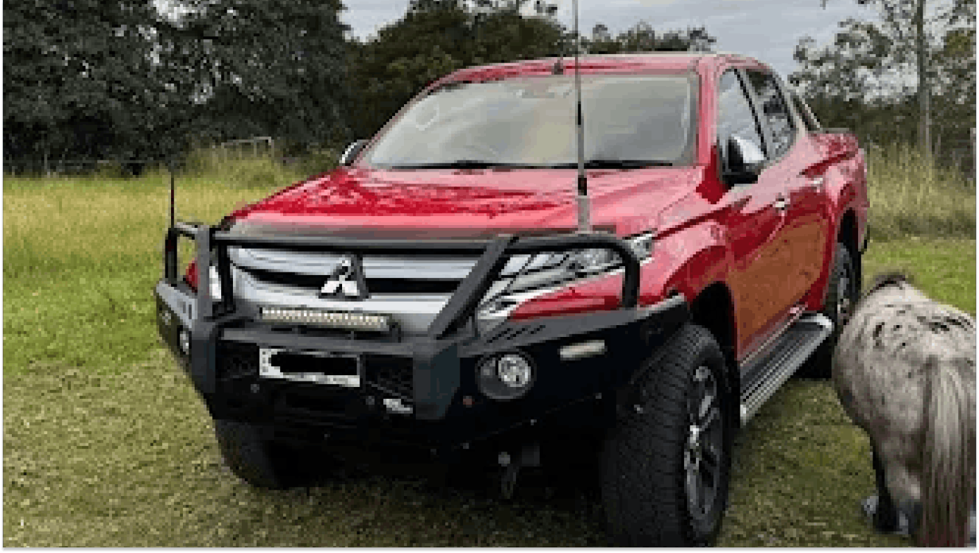 Red Mitsubishi Triton ute parked in a field next to a small horse