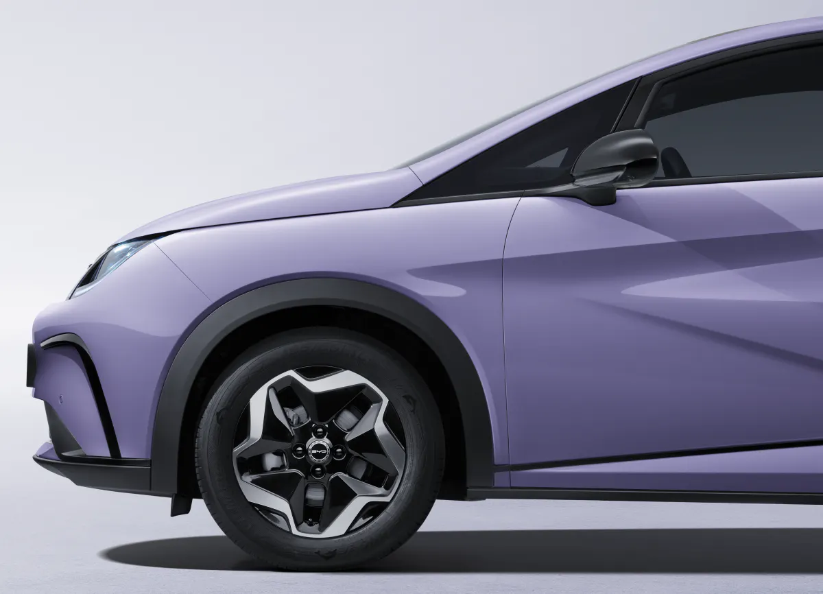 BYD Fully Electric Vehicle