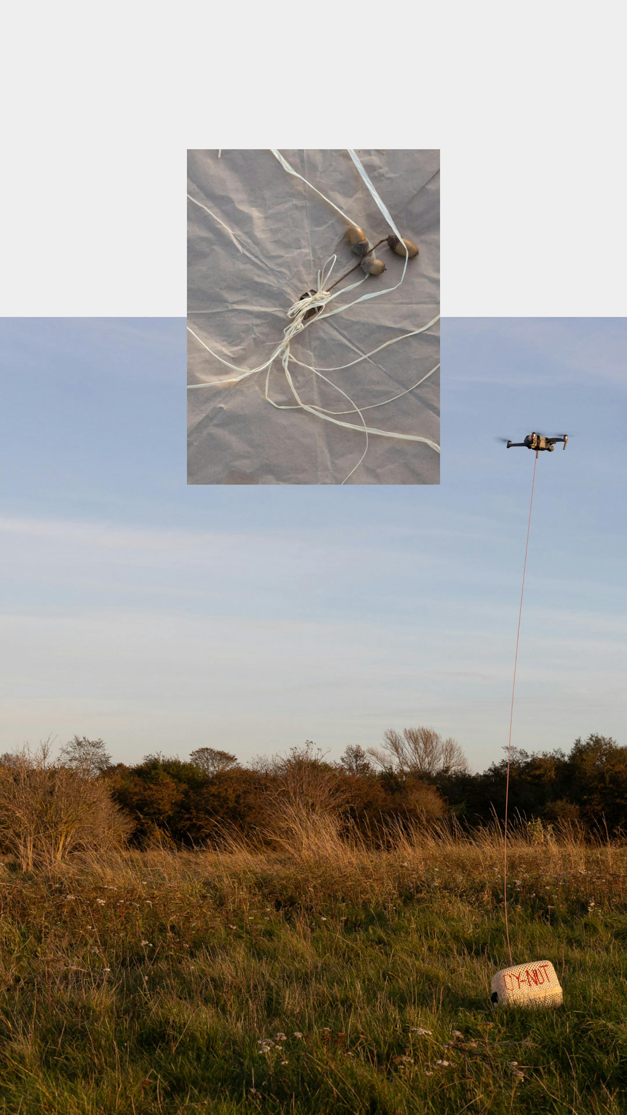 Two images: on the bottom is a drone lifting a basket from a field. On the top is a close up of acorns on paper with string. 