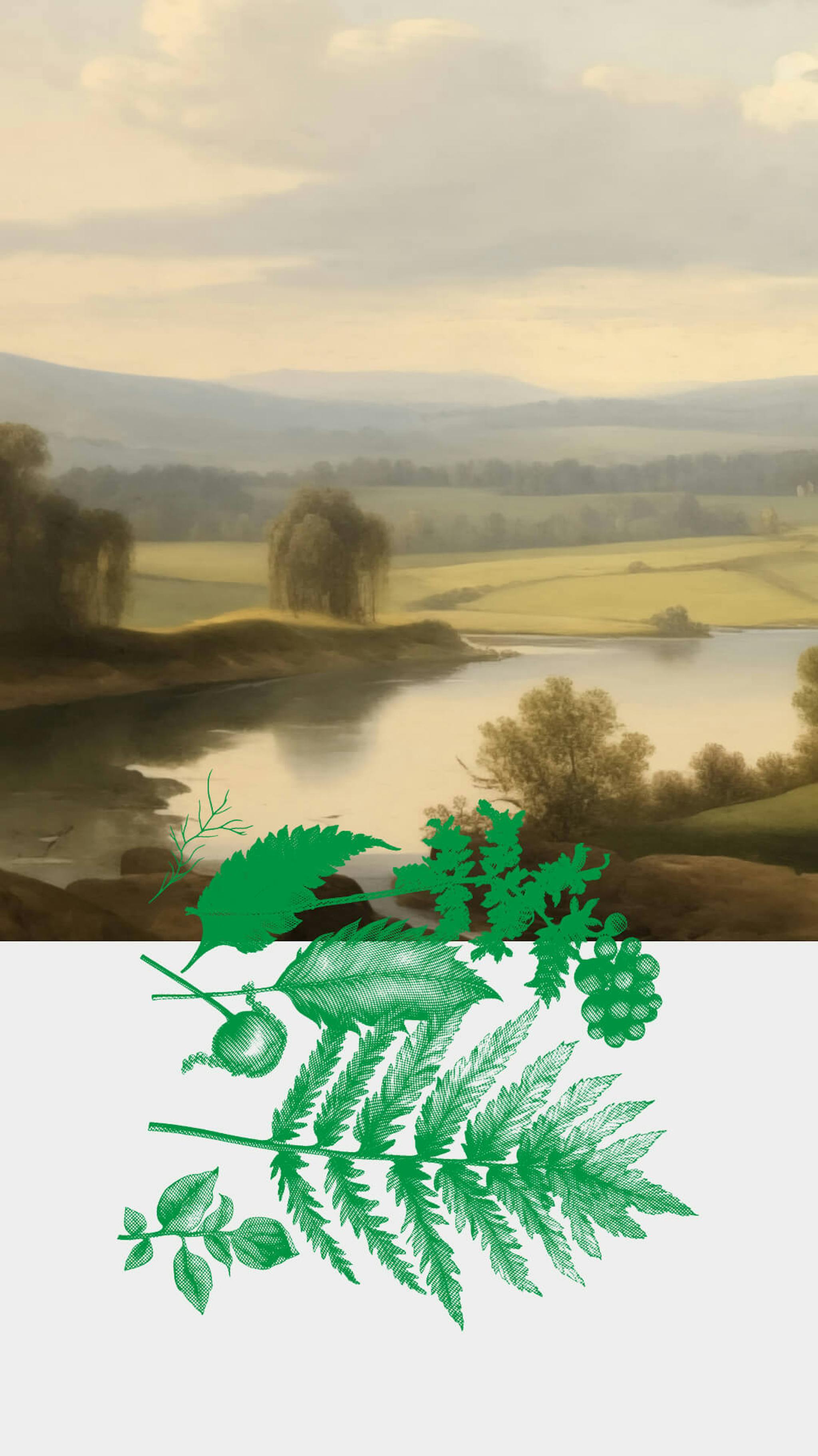 A composite image with a pastoral landscape on the top and detailed botanical illustrations on the bottom.