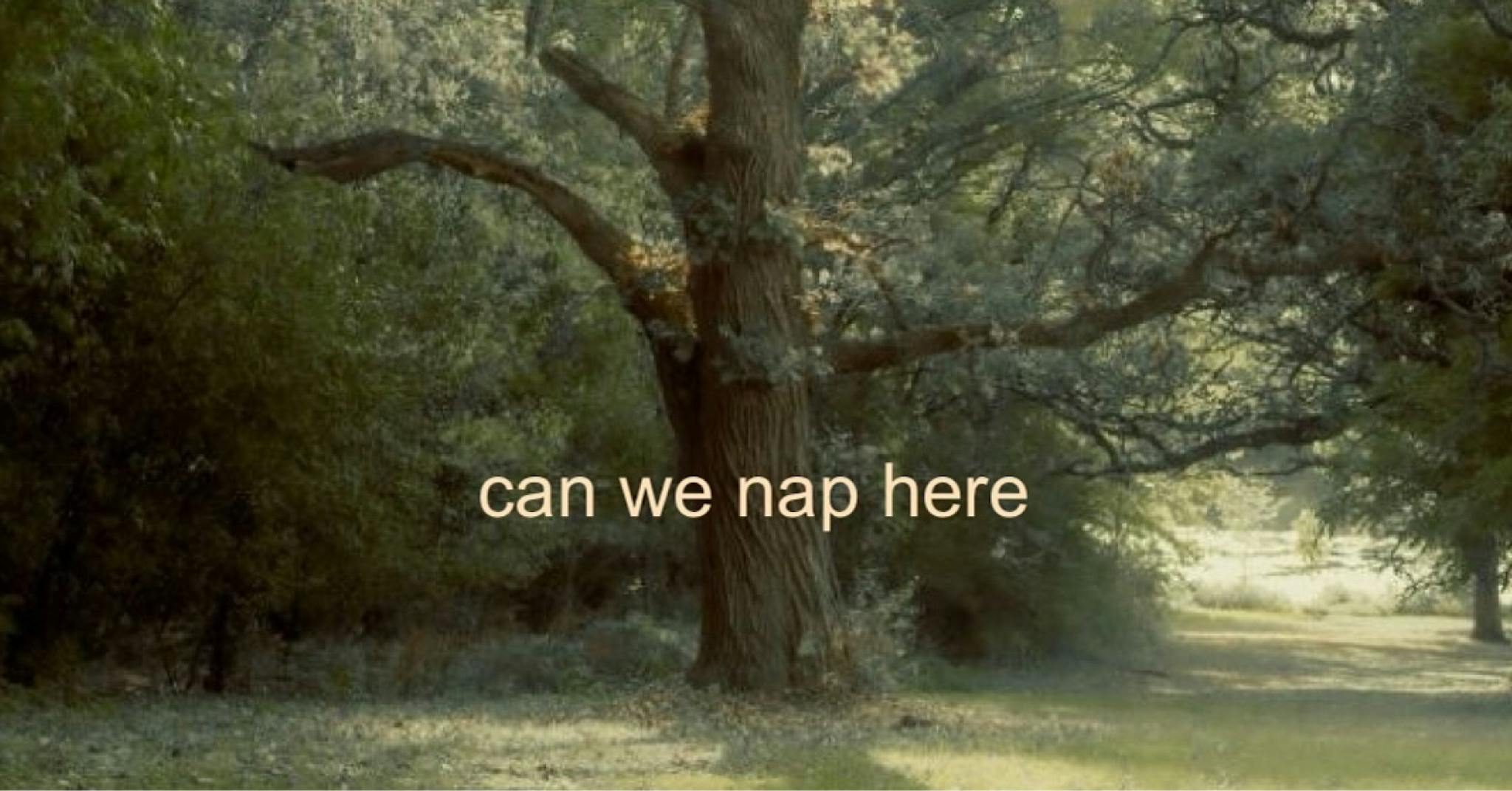 a dreamy image of a tree with the text overlayed saying can we nap here