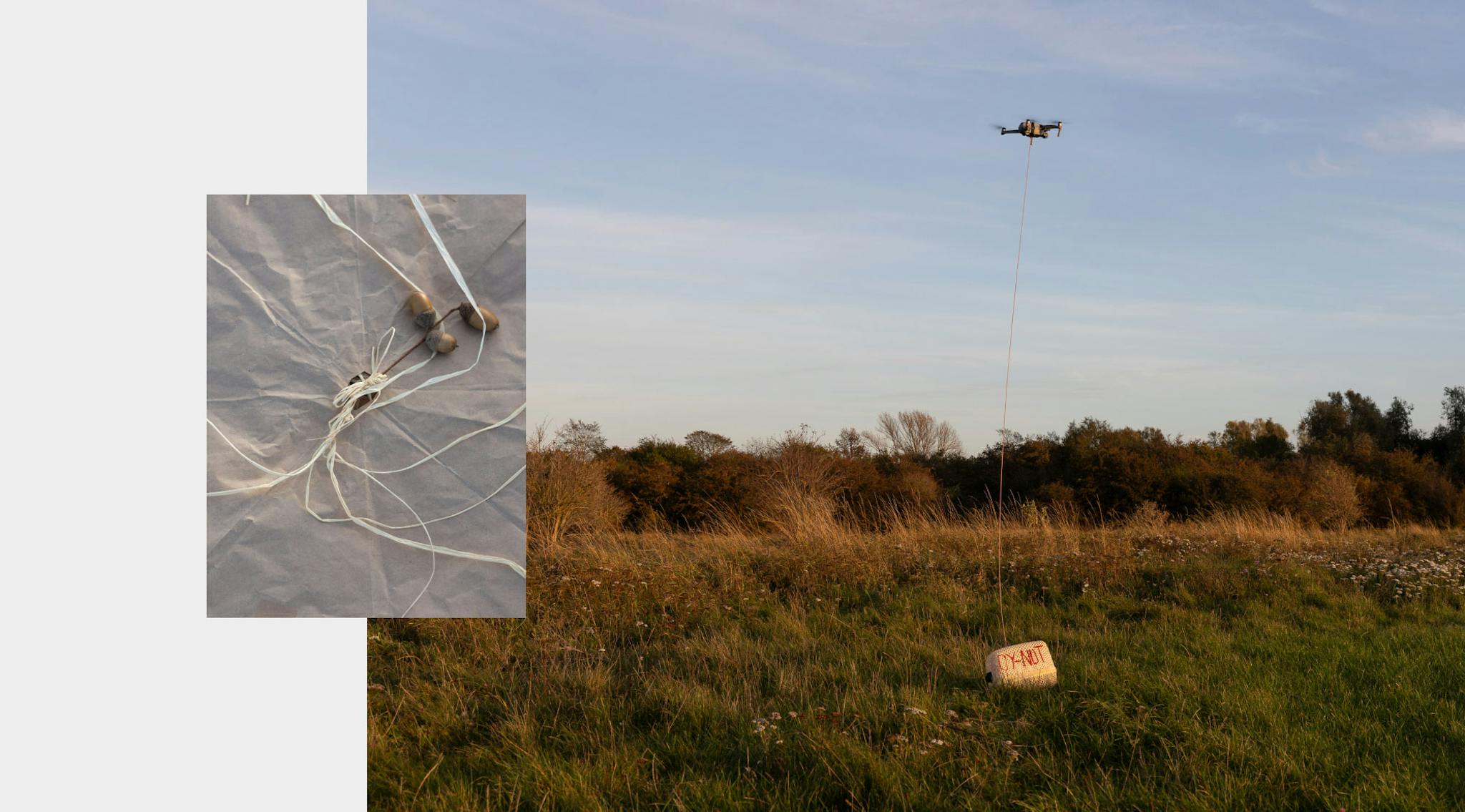 Two images: on the right is a drone lifting a basket from a field. On the left is a close up of acorns on paper with string. 