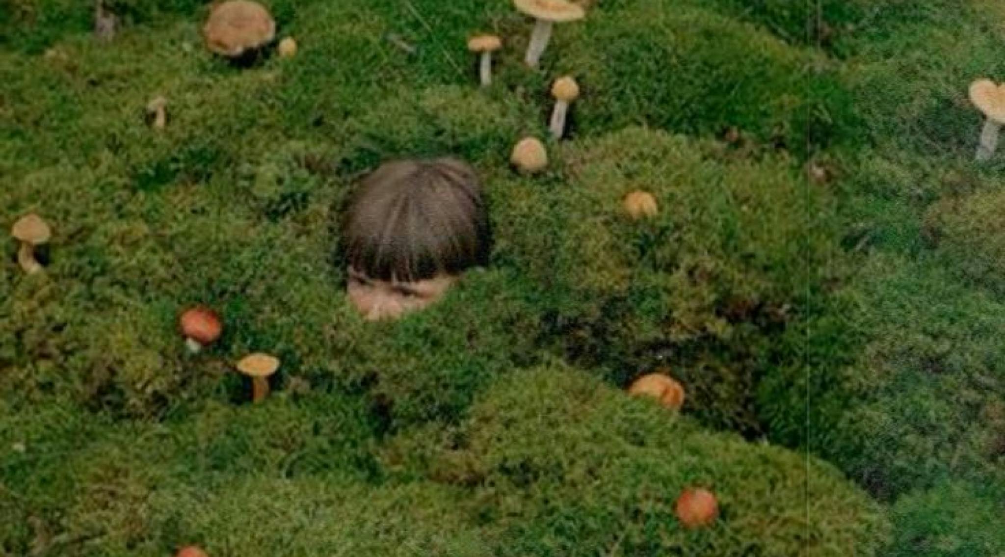 the image depicts a woman disappearing in moss that is strewn with mushrooms 