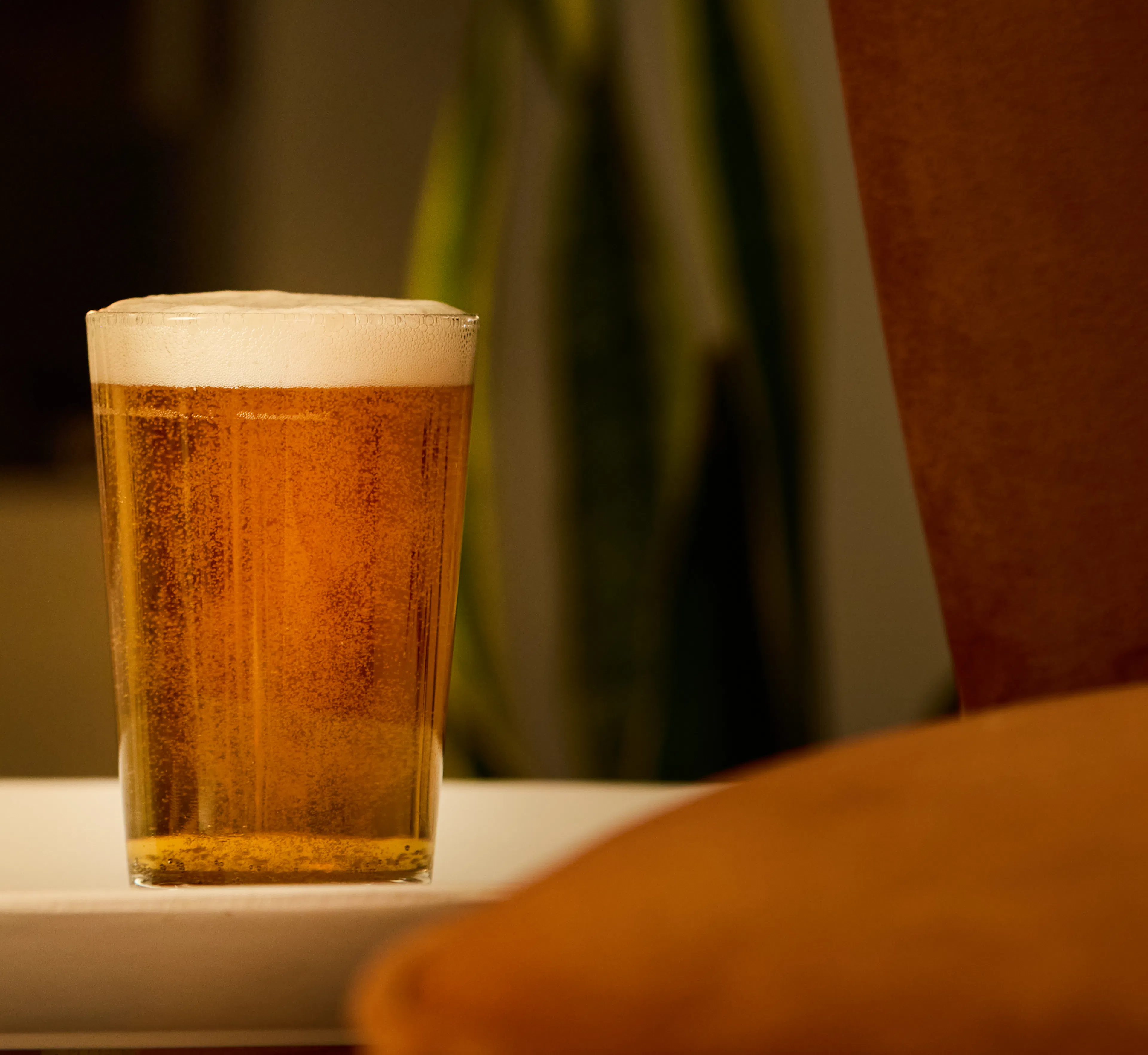 Earth & Wheat IPA in a bottle next to a full beer glass