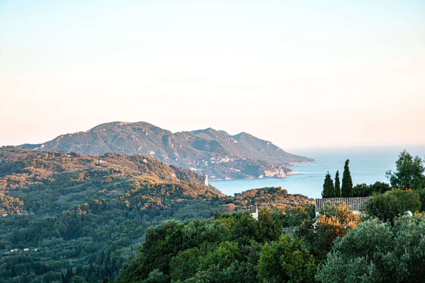 Olive-covered hills running down to a calm Mediterranean bay on Corfu in soft evening light